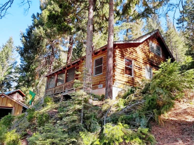 Cabin Lake Almanor
