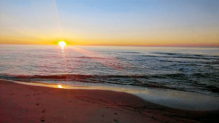 Condo Perdido Key