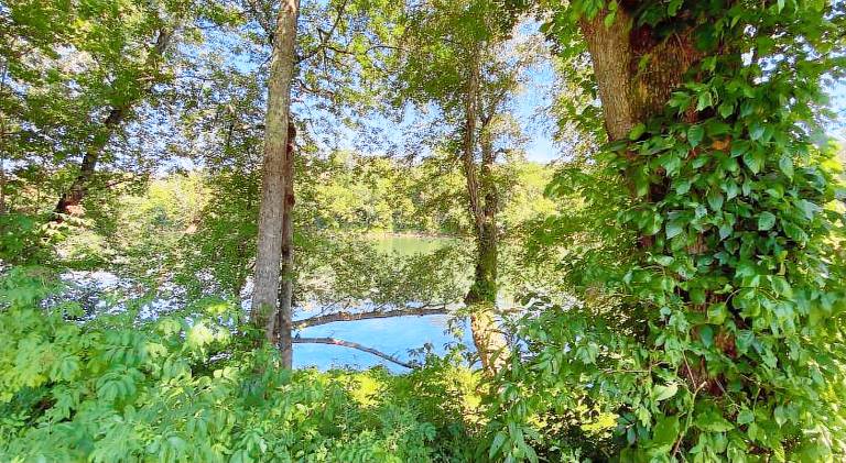 Lodge with pool & BBQ — photo 5
