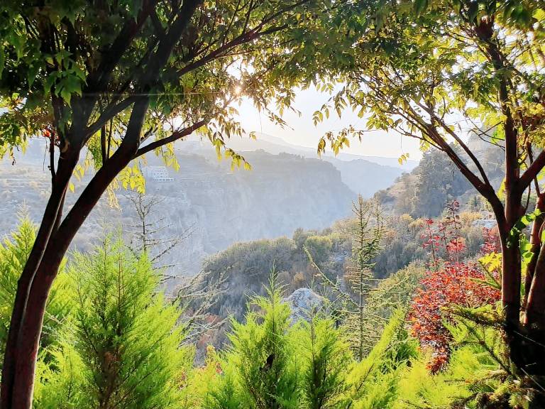 House Ehden