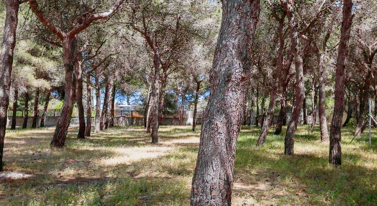 Nice house with garden | Dogs allowed in Porto Cesareo