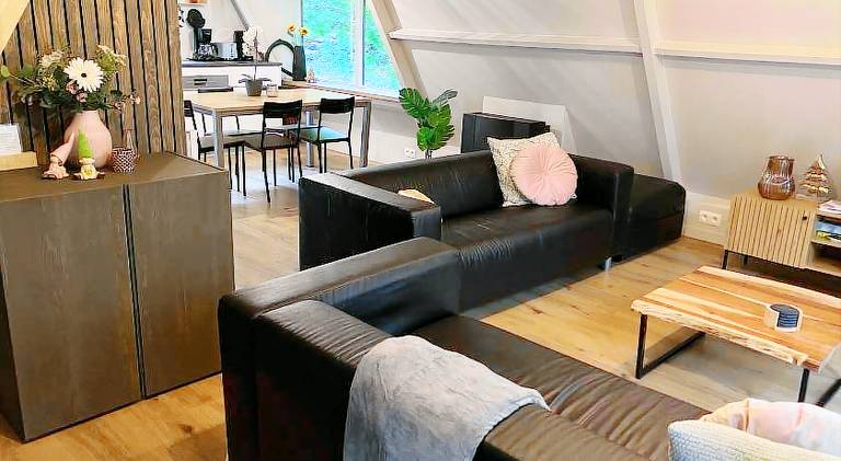 Chalet with pool — photo 4