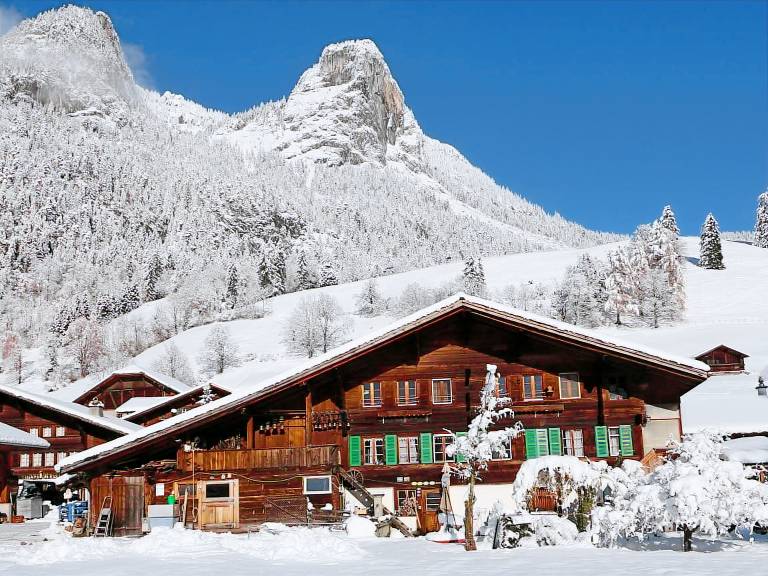 Ferienwohnung Boltigen