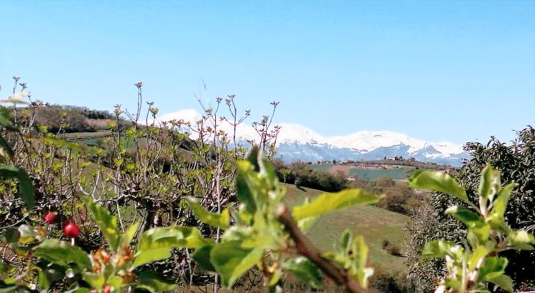Vacation home | Dogs allowed in Fermo
