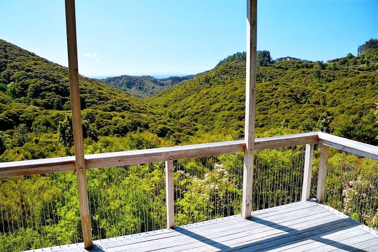 House Whitianga