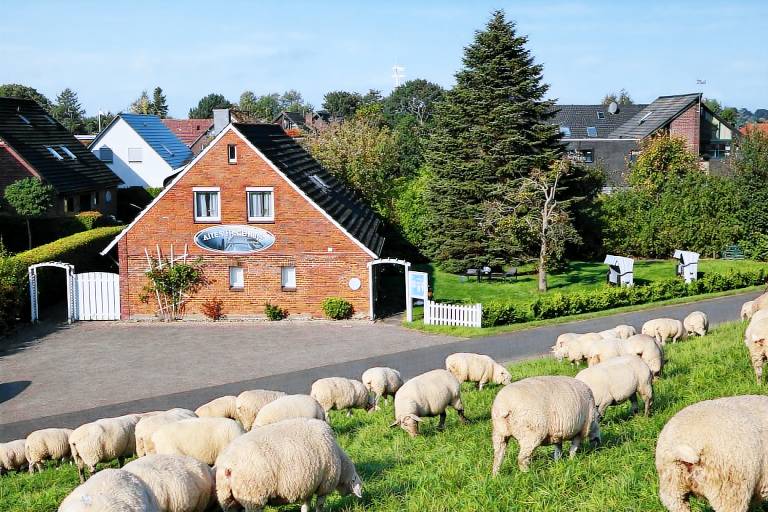 Ferienwohnung mit Hund inSchillig,   f&uuml;r max. 3 Personen