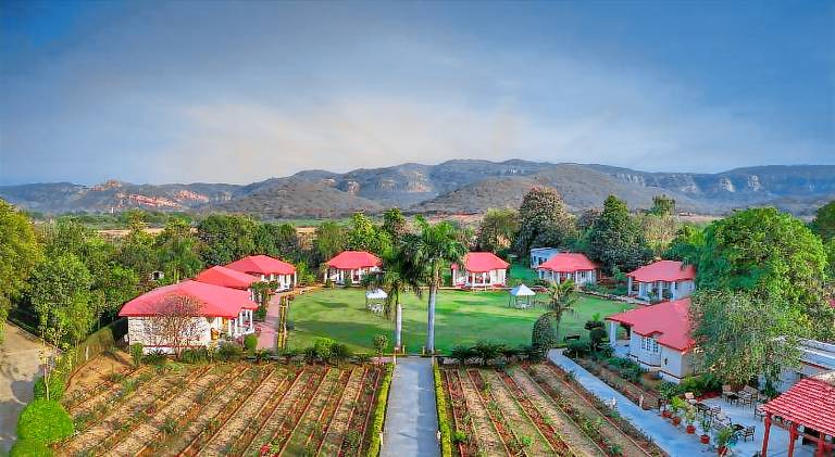 Tiger Den Resort