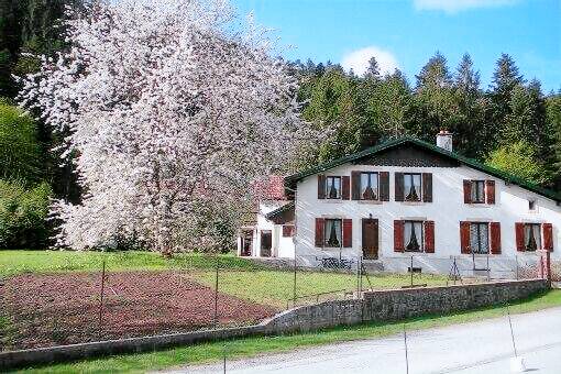 Appartement  Gérardmer