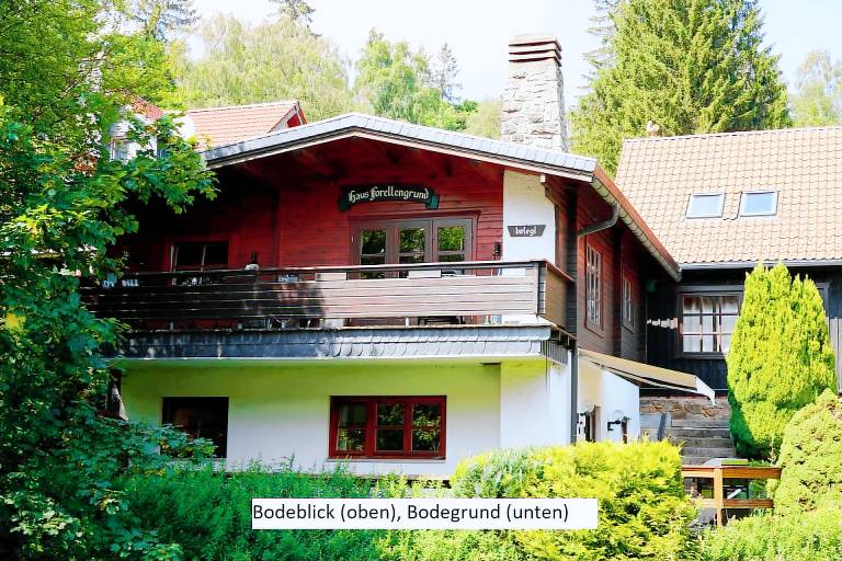 Bodegrund