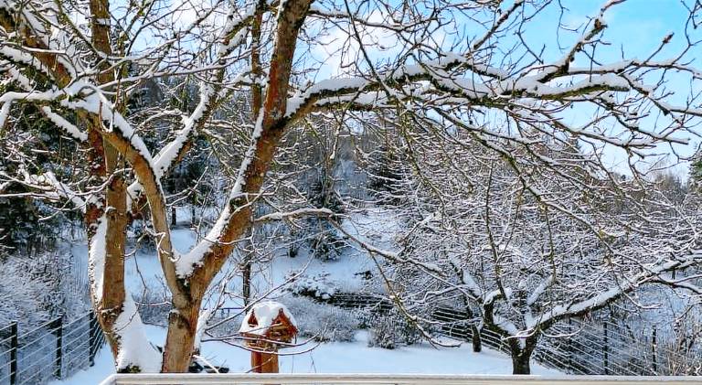 Beautiful vacation home | Pets allowed — photo 4