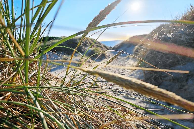 Ferienhaus mit Pool in Ringkøbing, Nordsee f&uuml;r max. 12 Personen