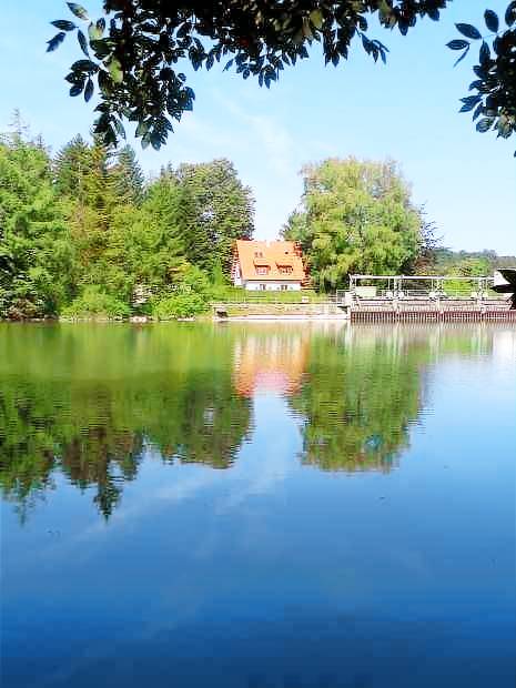 foto1