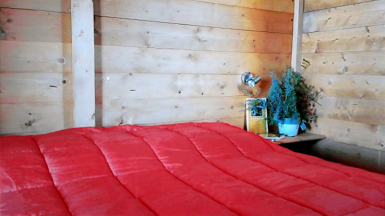 Cozy Four-Person Cabins with Private Outdoor Area near Florence, Italy — photo 4