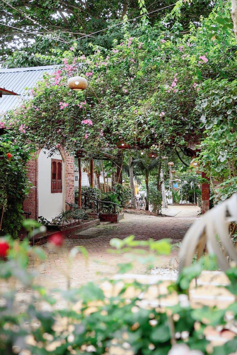 Lodge Dương Tơ