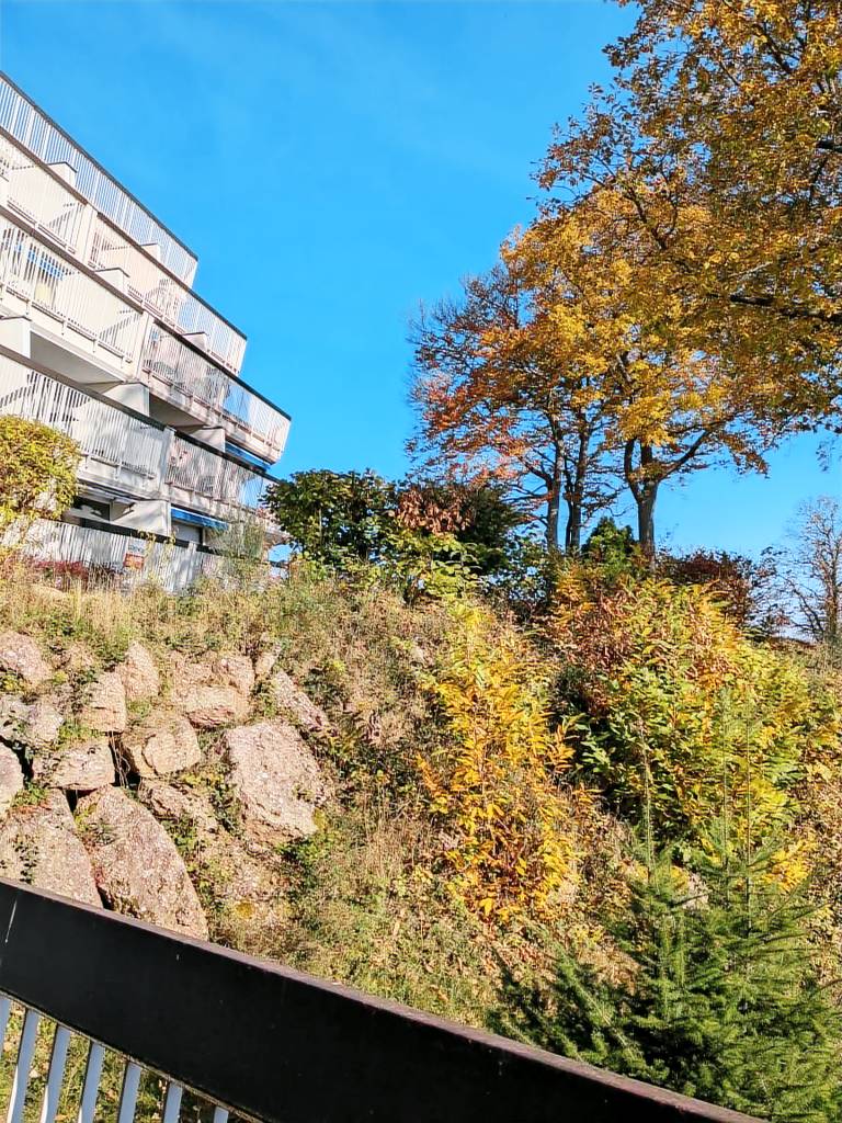 Appartement en copropriété Katzenthal