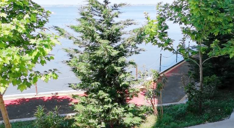 Pleasant apartment | Close to the beach | Pets allowed — photo 5