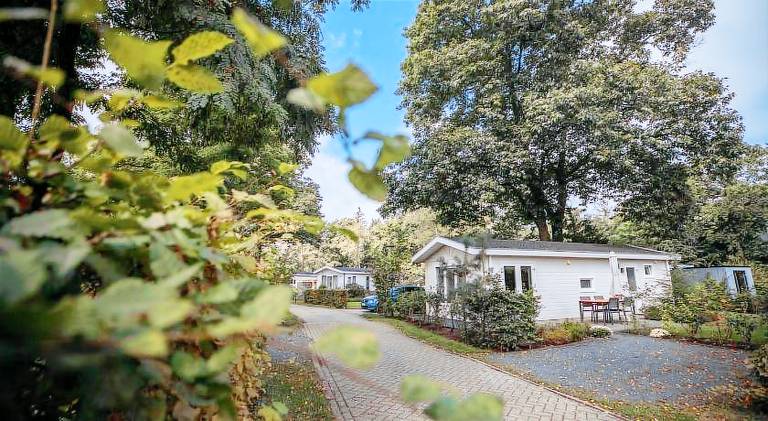 Chalet with 2 rooms for 4 persons in Arnhem