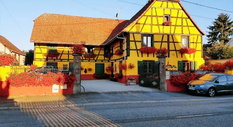 Ample holiday apartment | Pet-friendly in Ribeauvillé