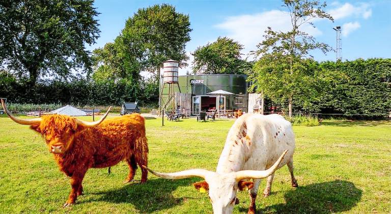 50 m² Ferienwohnung