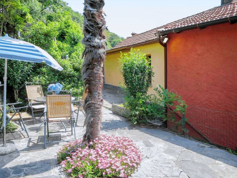 foto1
