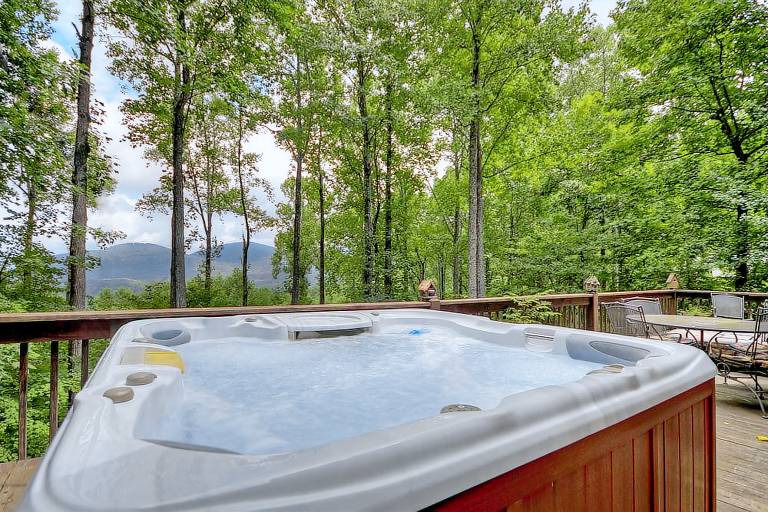 Cabin Ellijay