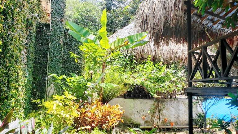 Vacation home with pool & garden — photo 4