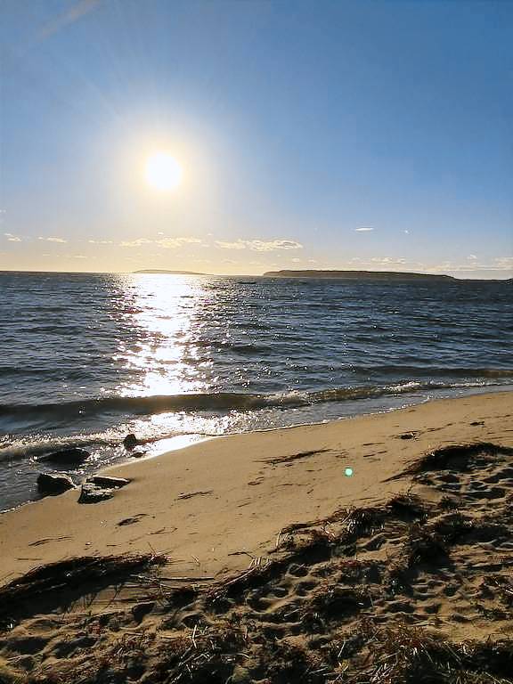Cottage Wellfleet