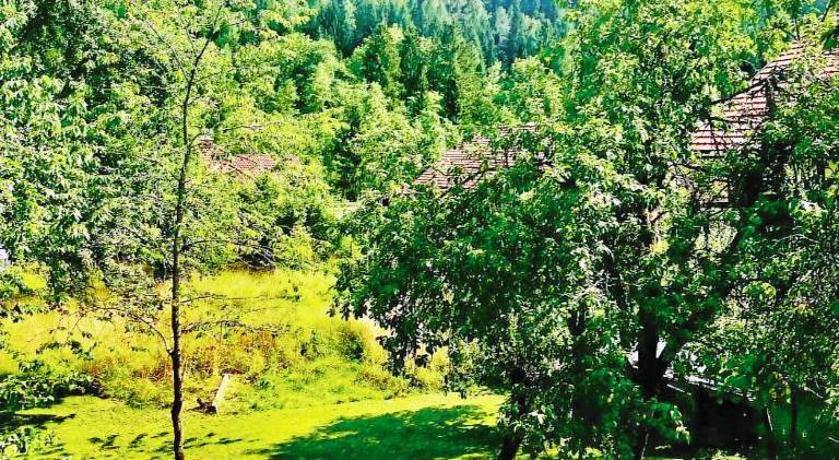 Pleasant rental apartment with garden & patio | Pet-friendly in Kranjska Gora