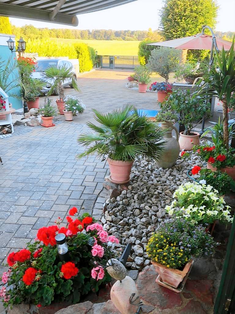 foto4