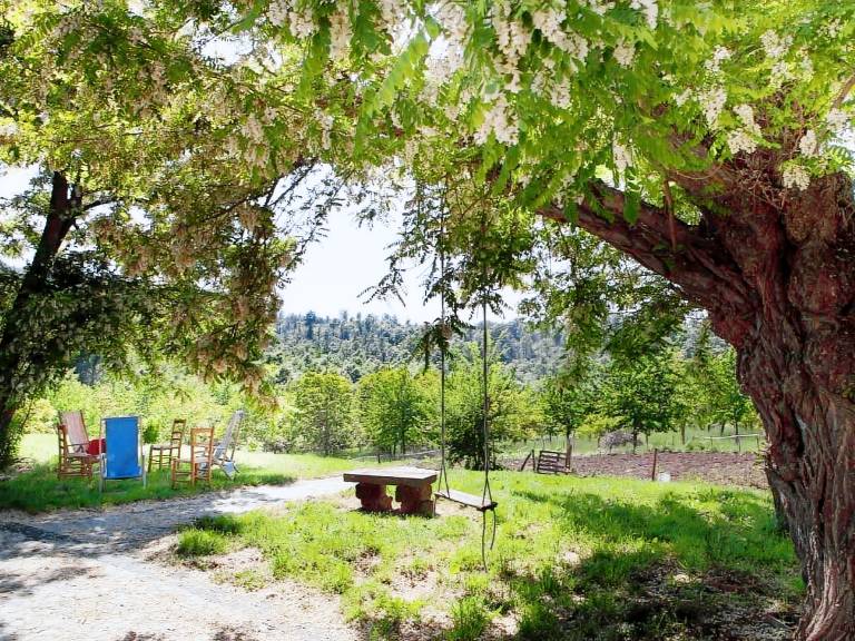 Apartment with pool & barbecue | Nature view — photo 2
