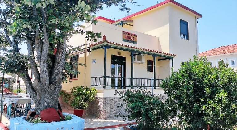 Serviced apartment with terrace & yard | Pets are welcome in Skopelos