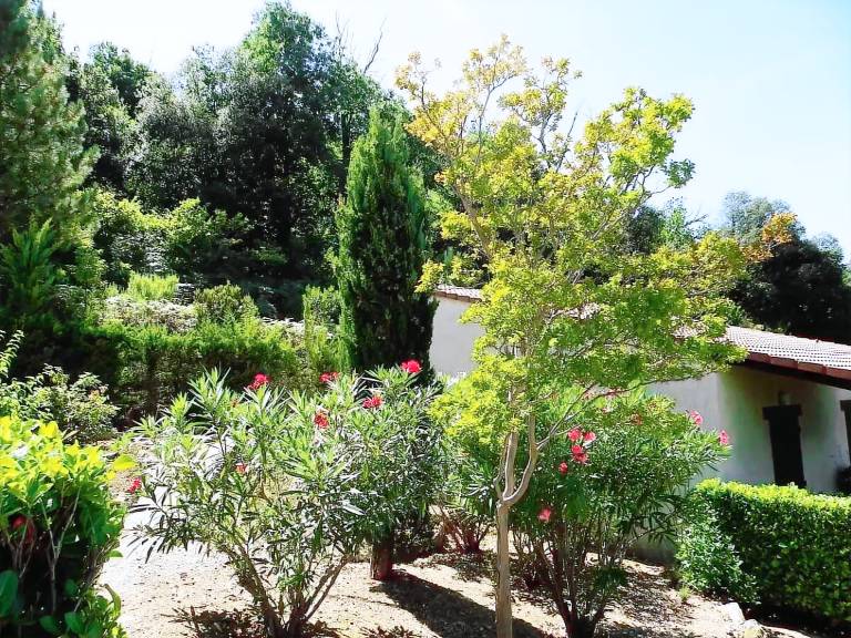 Villa Vico