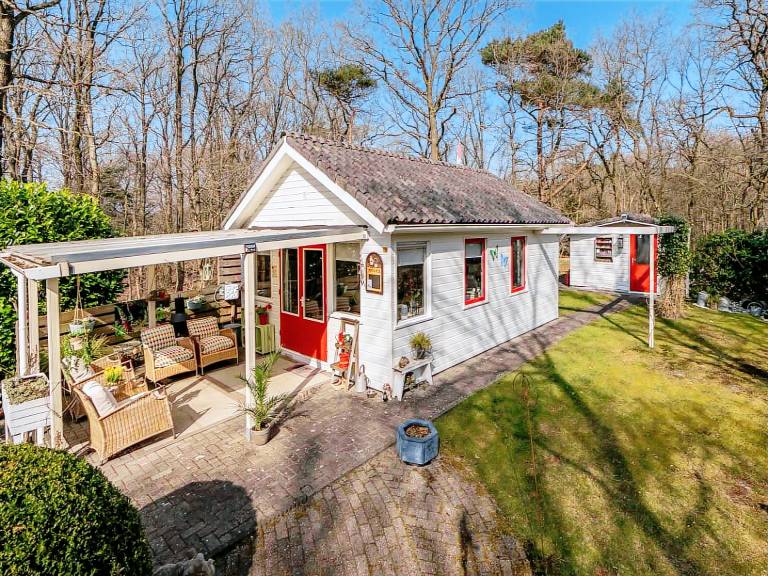 DG1464 Ferienhaus im Zuidlaren