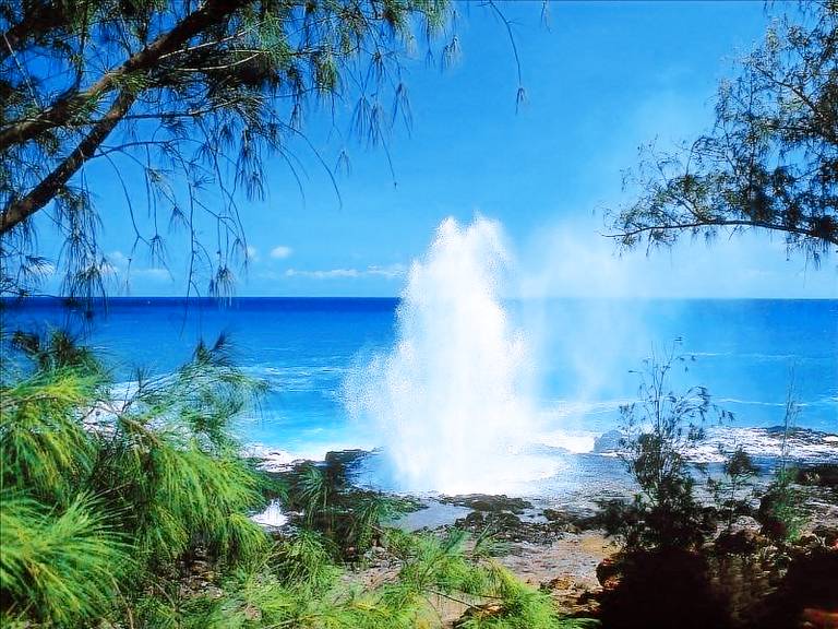 Condo Poipu