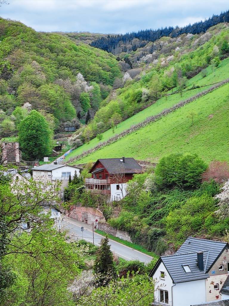 Ferienwohnung Bacharach