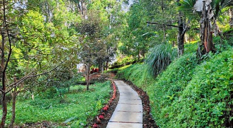 Lodge with yard & patio — photo 5
