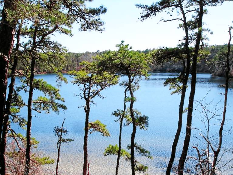 Cottage  Wellfleet