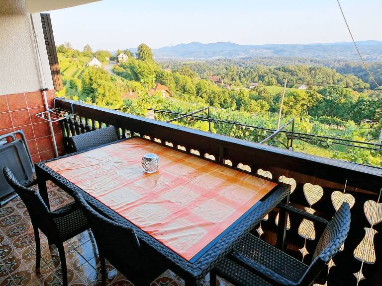 Cottage  Vidošiči