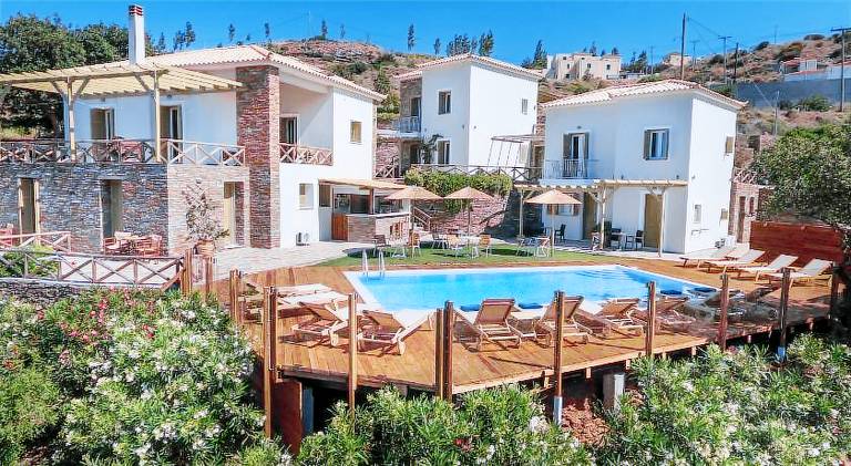 House with private pool, patio & yard in Andros