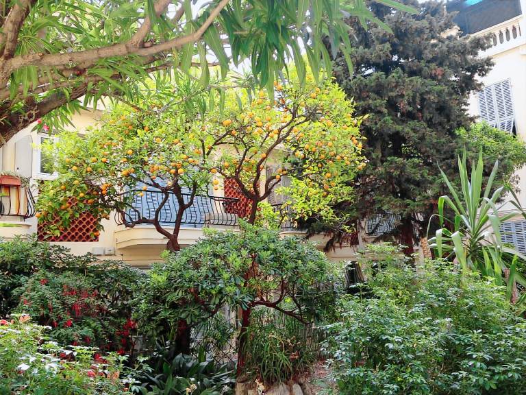 Appartement Menton