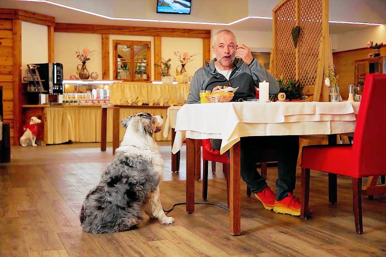 Hotel Grimming dogs&friends — photo 5