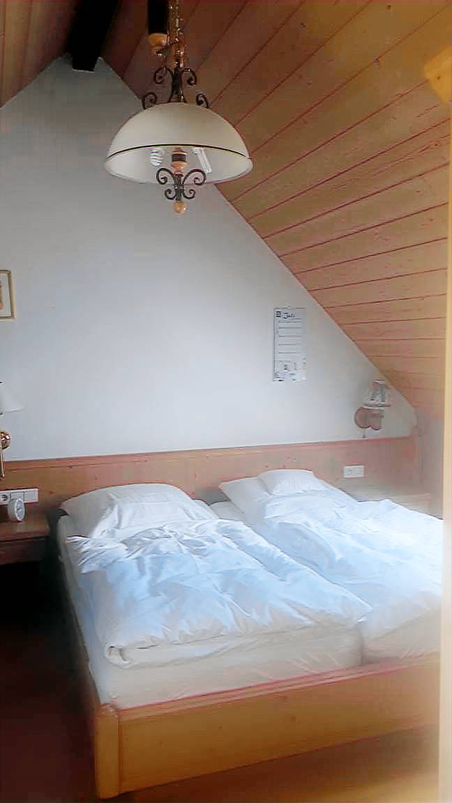 foto2