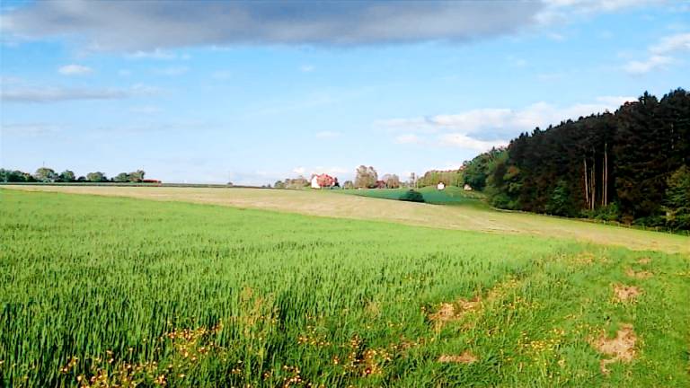 Ferienwohnung Krumbach (Schwaben)