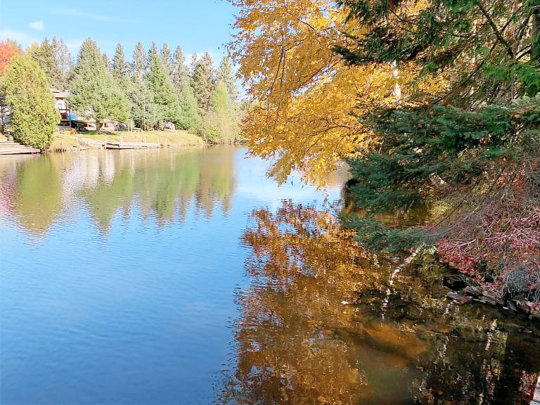 Cottage  Fenelon Falls