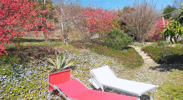 B&B le Villette Predappio — photo 4