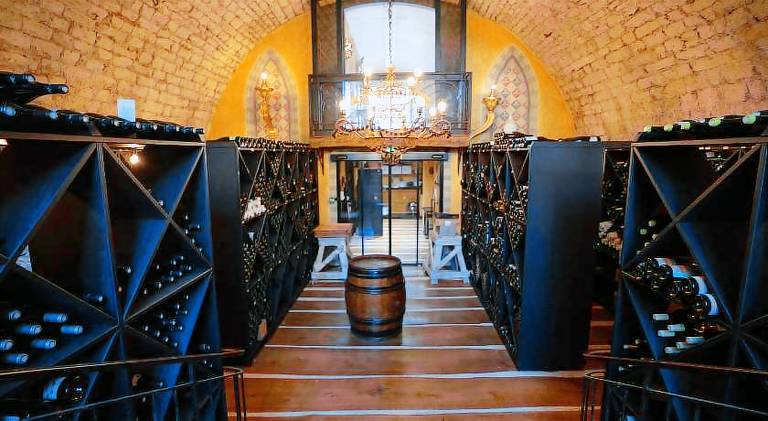 Chateau De Germigney — photo 5