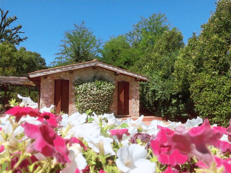 foto4