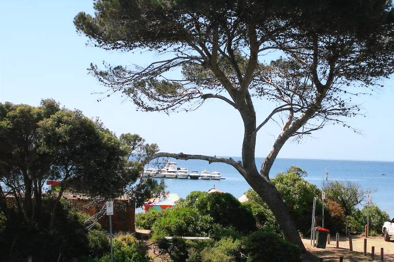 Apartment  Mount Eliza