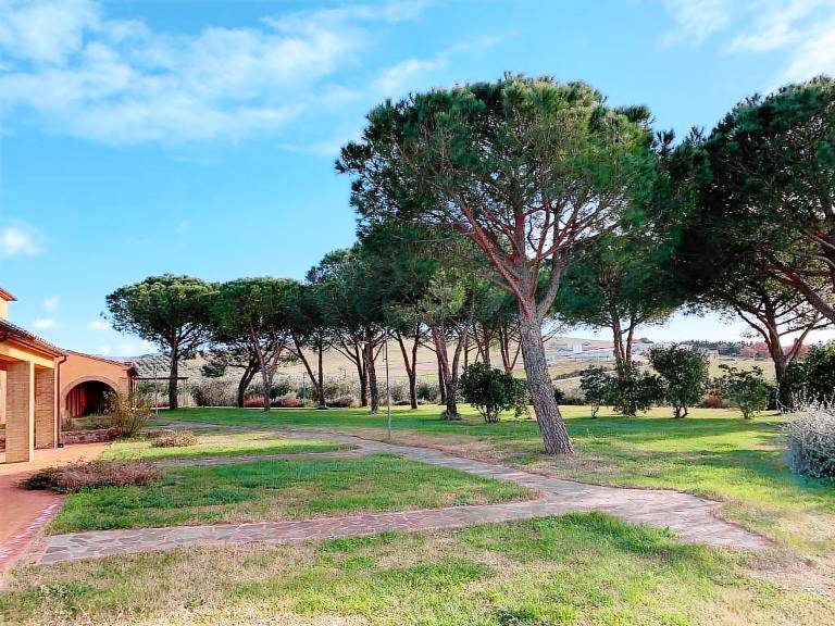 Agriturismo Villa Preselle a Scansano: Appartamento 3 — photo 5