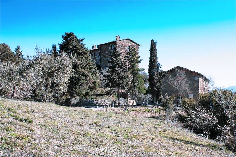 foto2